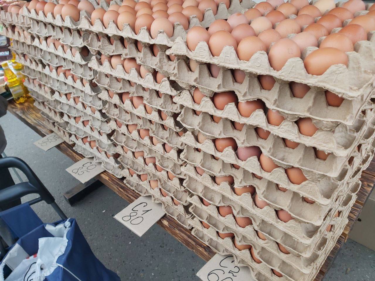 Андрей Миськов: Сегодня Новый Оскол вновь окунулся в оживлённую и по-настоящему домашнюю атмосферу традиционной сельскохозяйственной ярмарки Андрей Миськов: Сегодня Новый Оскол вновь окунулся в оживлённую и по-настоящему домашнюю атмосферу традиционной сельскохозяйственной ярмарки