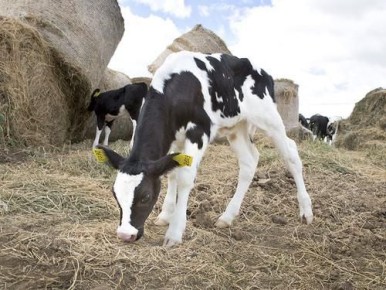Вячеслав Гладков рассказал о мерах поддержки ветеранов СВО