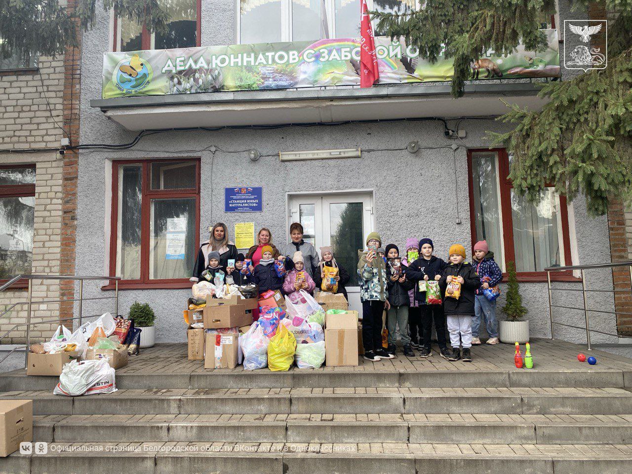 Белгородцы протянули руку помощи хвостикам! Белгородцы протянули руку помощи хвостикам!