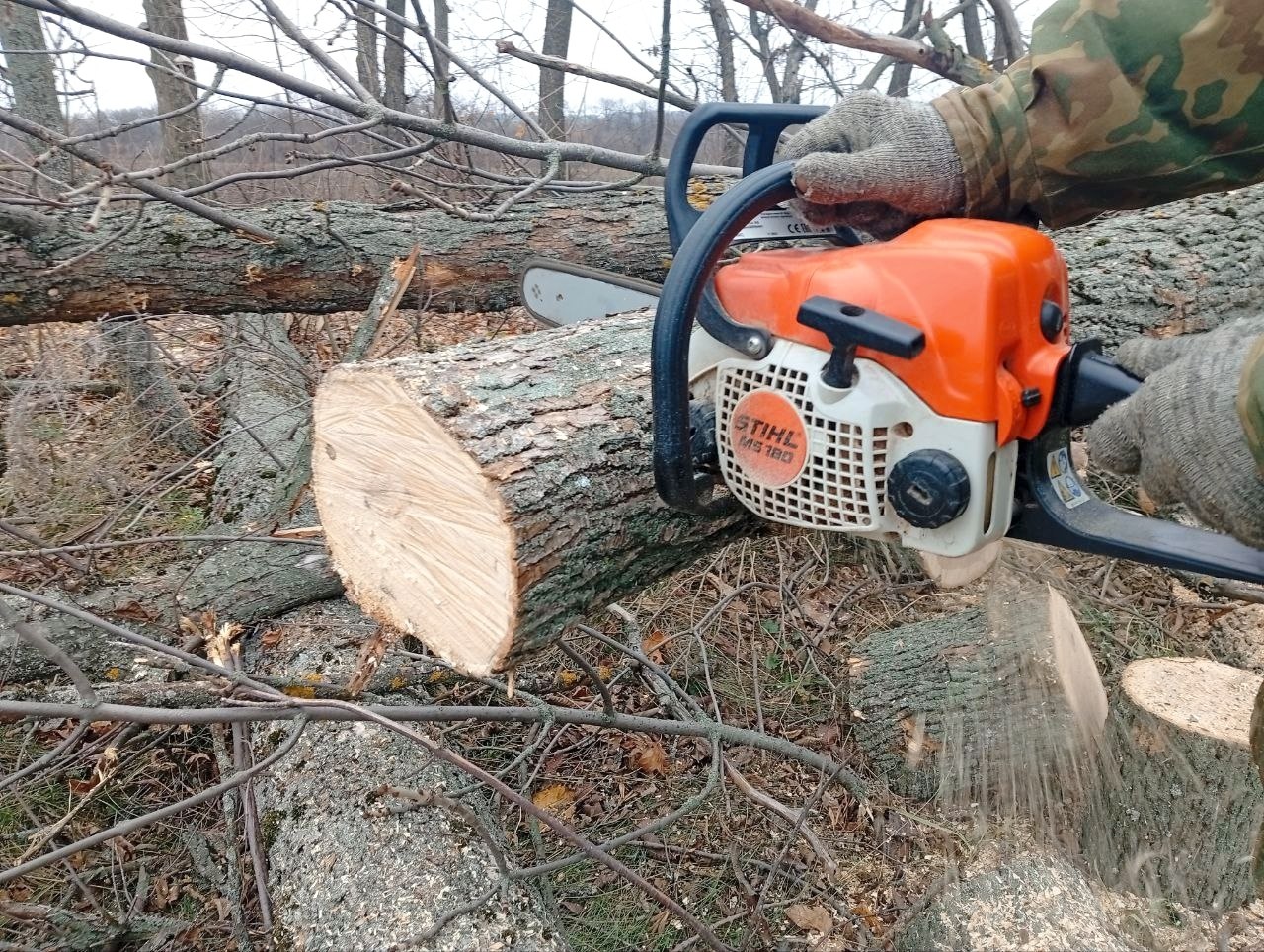 В нашем округе активно ведётся заготовка дров к предстоящей зиме В нашем округе активно ведётся заготовка дров к предстоящей зиме
