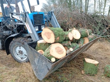 В нашем округе активно ведётся заготовка дров к предстоящей зиме