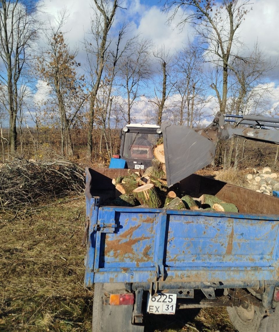 В нашем округе активно ведётся заготовка дров к предстоящей зиме В нашем округе активно ведётся заготовка дров к предстоящей зиме