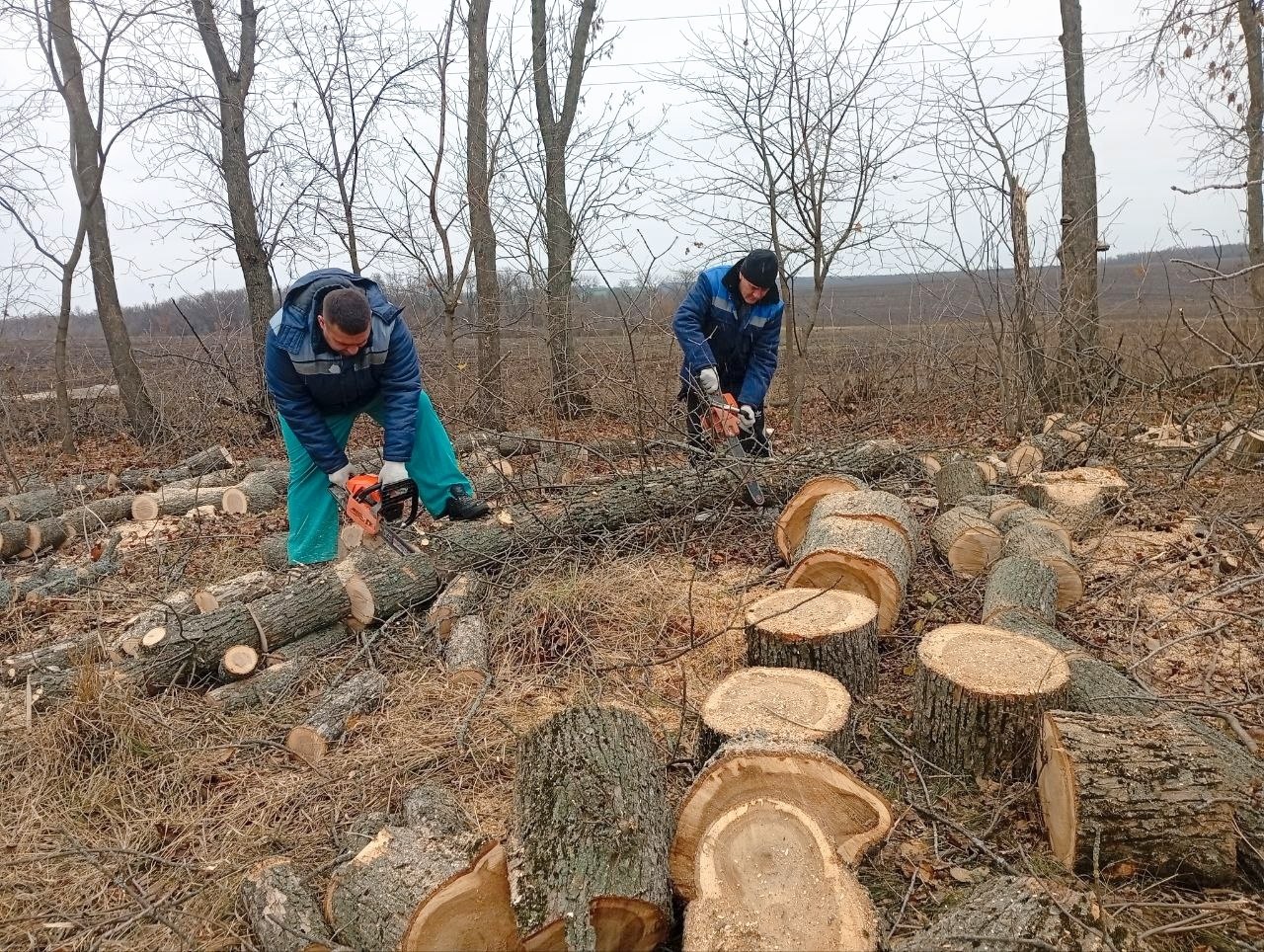 В нашем округе активно ведётся заготовка дров к предстоящей зиме В нашем округе активно ведётся заготовка дров к предстоящей зиме
