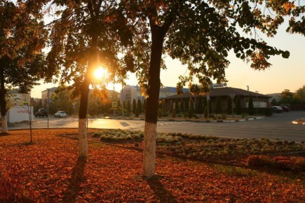 Андрей Гриднев: Уважаемые шебекинцы, делюсь новостями прошедшей недели, которые публиковались на официальных страницах администрации и учреждений Шебекинского муниципального округа: