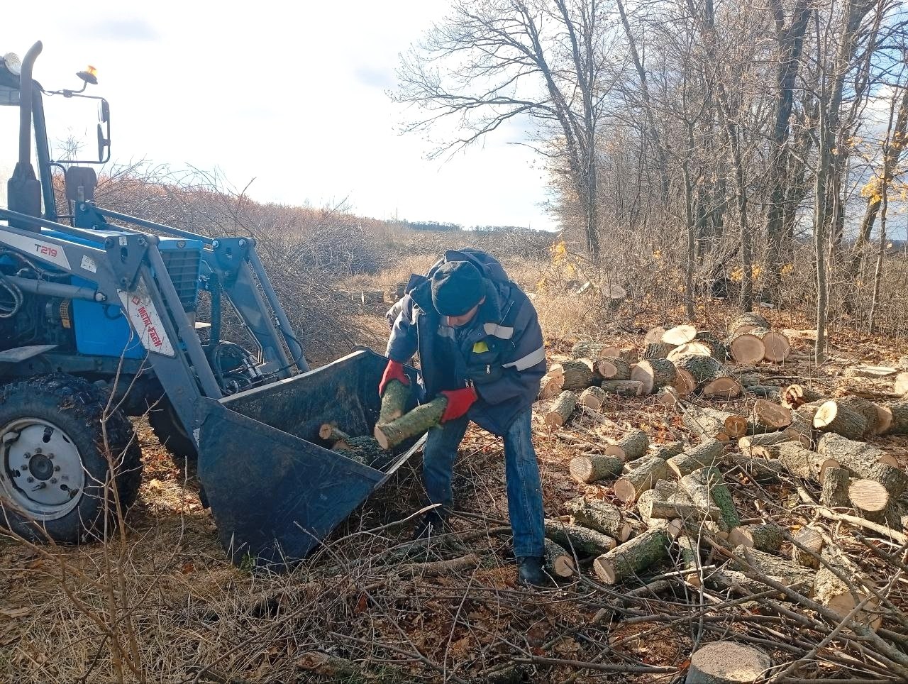 В нашем округе активно ведётся заготовка дров к предстоящей зиме В нашем округе активно ведётся заготовка дров к предстоящей зиме