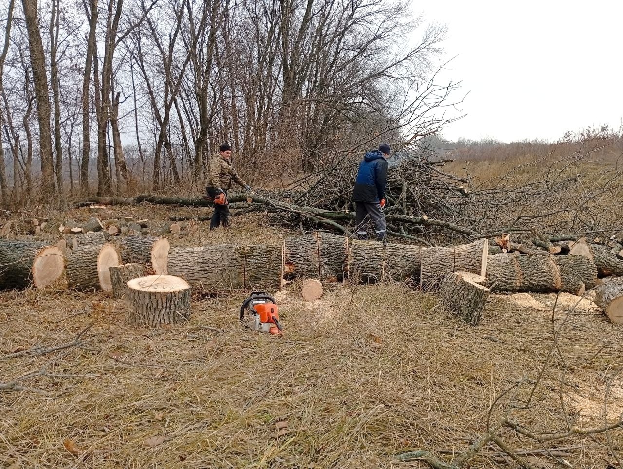 В нашем округе активно ведётся заготовка дров к предстоящей зиме В нашем округе активно ведётся заготовка дров к предстоящей зиме