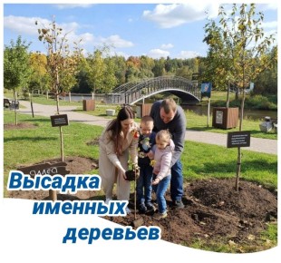 Уважаемые родители!. Приглашаем вас принять участие в высадке именных деревьев для малышей, родившихся в 2024 и 2025 годах, на Аллее новорожденных, расположенной на направлении движения к подвесному мосту в поселке Красный...