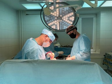 Вячеслав Гладков рассказал, как в Белгородской области развивается программа по эндопротезированию коленных и тазобедренных суставов