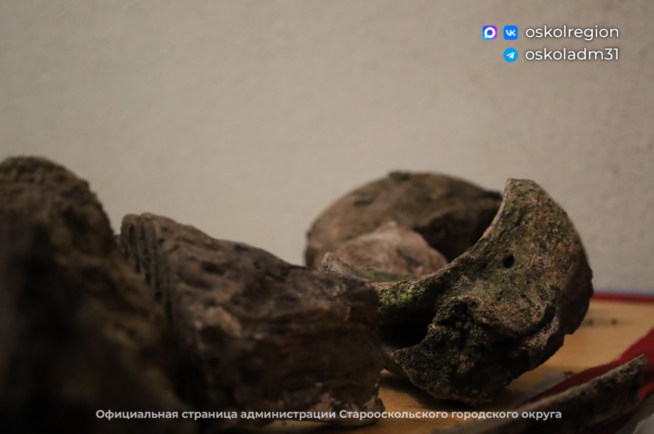 Палеонтологическая сенсация: житель Нагольного Старооскольского округа нашел останки шерстистого носорога Палеонтологическая сенсация: житель Нагольного Старооскольского округа нашел останки шерстистого носорога