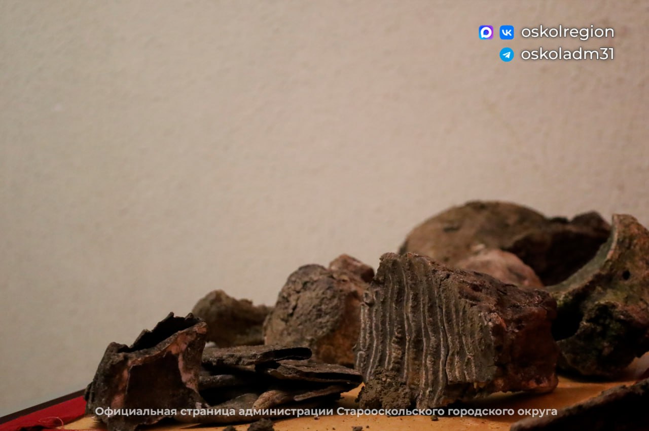 Палеонтологическая сенсация: житель Нагольного Старооскольского округа нашел останки шерстистого носорога Палеонтологическая сенсация: житель Нагольного Старооскольского округа нашел останки шерстистого носорога