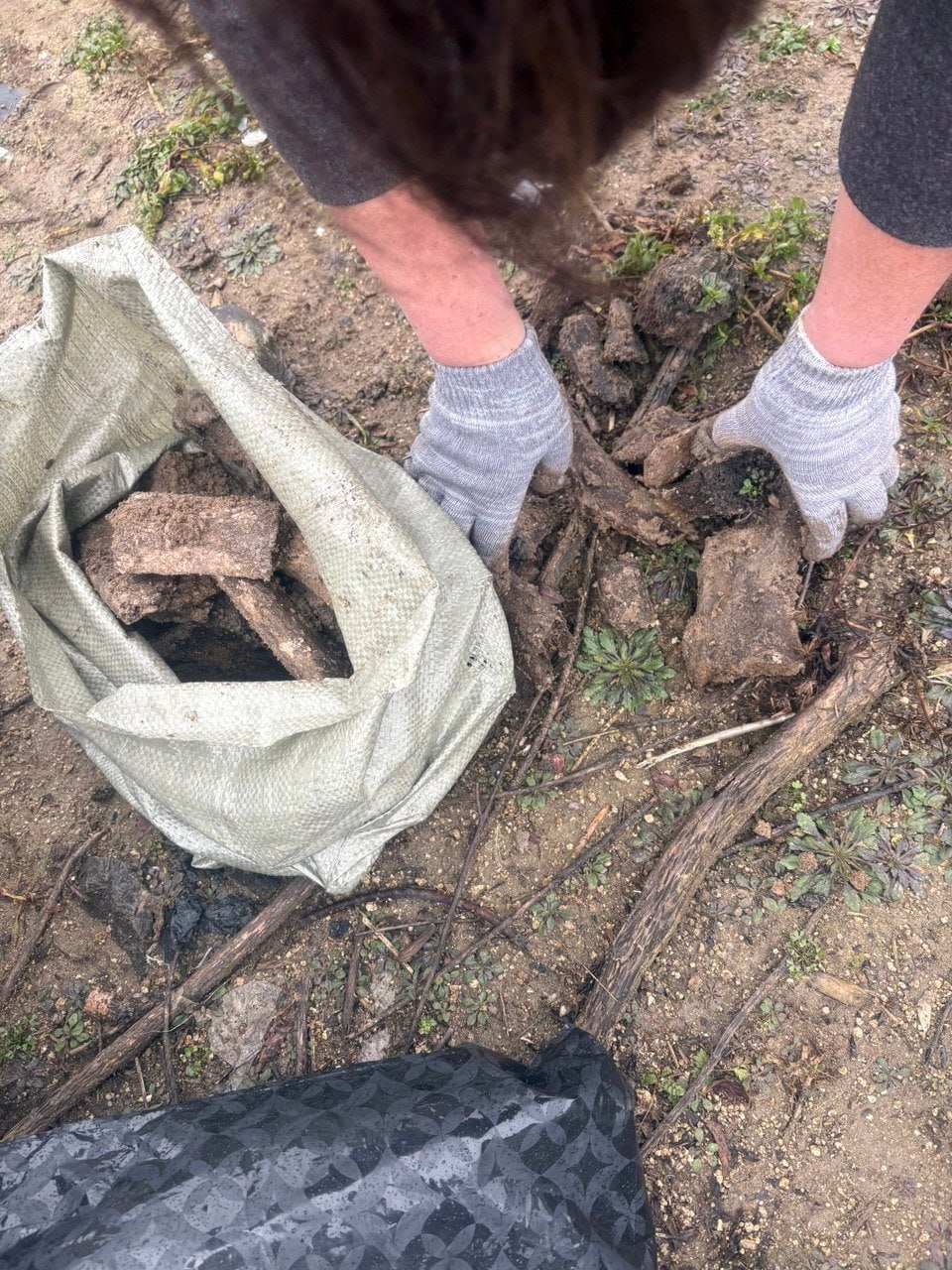 Вместо улова – палеонтологическая сенсация