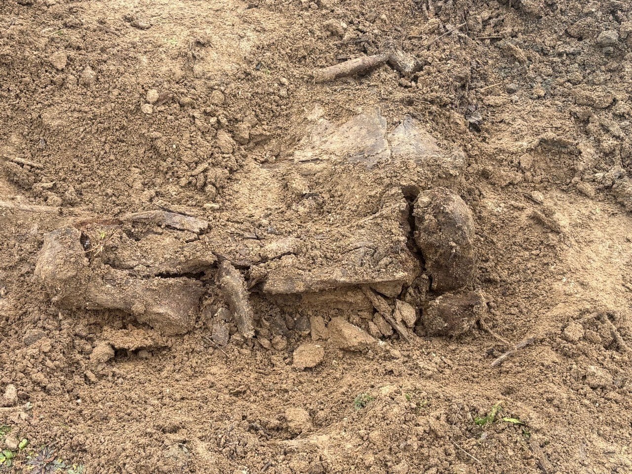 Вместо улова – палеонтологическая сенсация Вместо улова – палеонтологическая сенсация