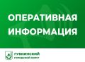 Михаил Лобазнов: Над нашим округом системой ПВО за прошедшие сутки сбиты 7 беспилотников самолётного типа
