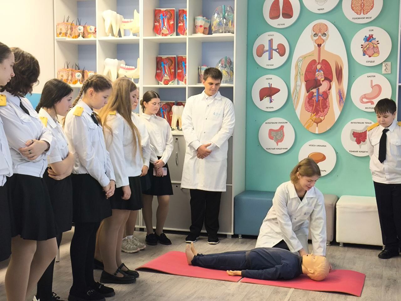 Ученики медицинского класса провели обучающее занятие для семиклассников Ученики медицинского класса провели обучающее занятие для семиклассников