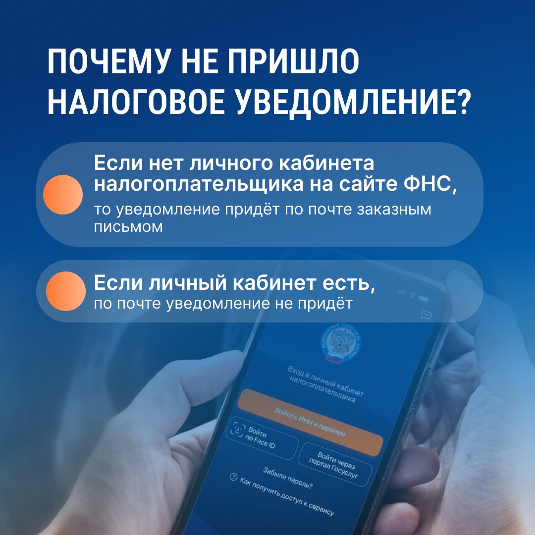 1 декабря — крайний срок оплаты налога на жильё, землю, транспорт и НДФЛ с доходов по банковским вкладам за 2024 год