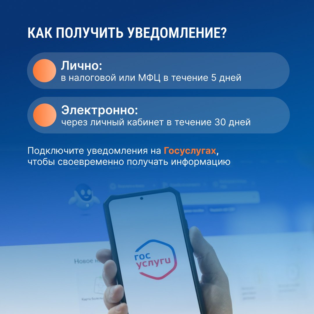 1 декабря — крайний срок оплаты налога на жильё, землю, транспорт и НДФЛ с доходов по банковским вкладам за 2024 год 1 декабря — крайний срок оплаты налога на жильё, землю, транспорт и НДФЛ с доходов по банковским вкладам за 2024 год