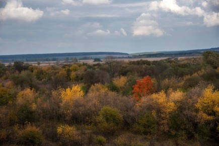 Погода 15 ноября. Сегодня синоптики обещают пасмурную погоду, вечером возможен дождь