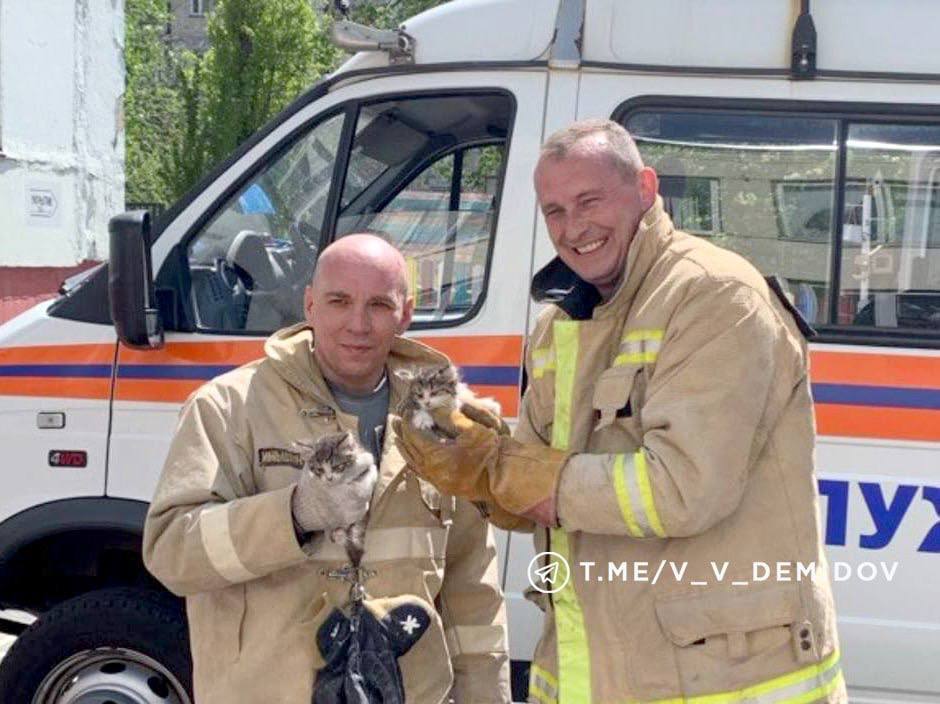 Спасатель из Белгорода победил во Всероссийском конкурсе «Голос Героев» Спасатель из Белгорода победил во Всероссийском конкурсе «Голос Героев»