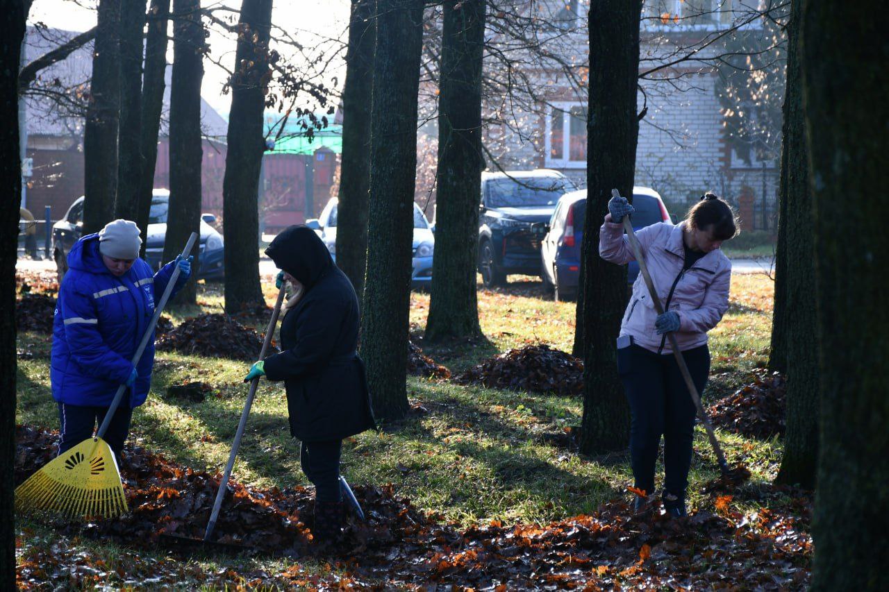 Галина Руденко: Осталось две недели до наступления календарной зимы, но пока погода позволяет, мы продолжаем наводить порядок в нашем районе Галина Руденко: Осталось две недели до наступления календарной зимы, но пока погода позволяет, мы продолжаем наводить порядок в нашем районе