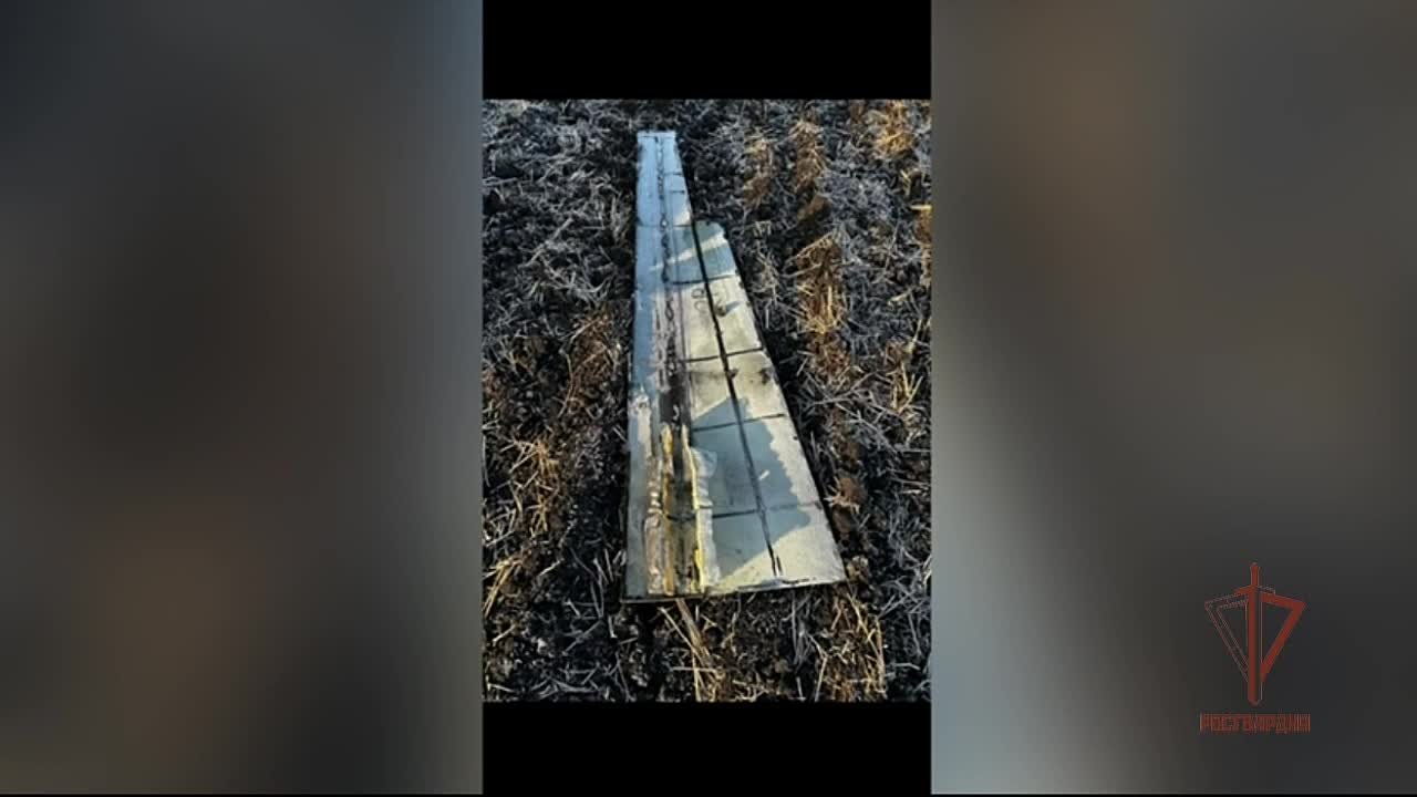 Свыше 100 беспилотников ВСУ сбили в Белгородской области из стрелкового оружия за месяц росгвардейцы