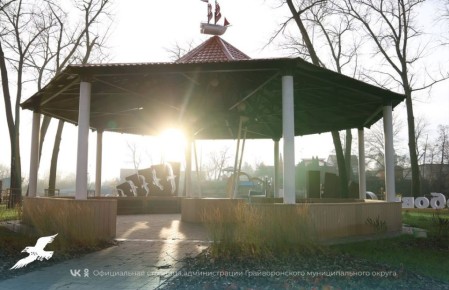 Ноябрь – последний месяц осени, и пусть солнце реже радует своим теплом, а воздух становится прохладнее, в этой переменчивой погоде кроется особая, неповторимая прелесть