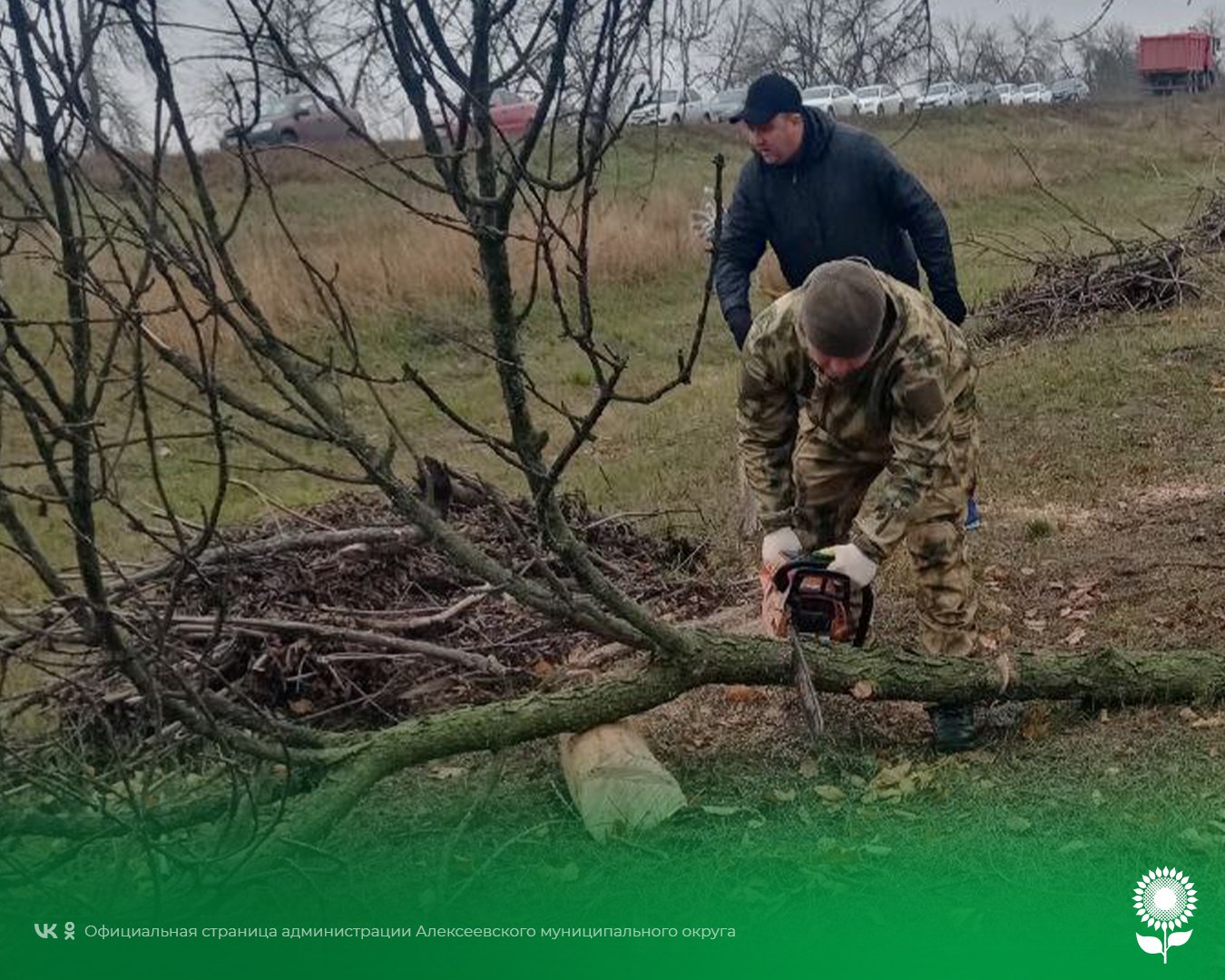 Всероссийская акция «Сохраним лес»: вместе сохраняем будущее наших лесов Всероссийская акция «Сохраним лес»: вместе сохраняем будущее наших лесов