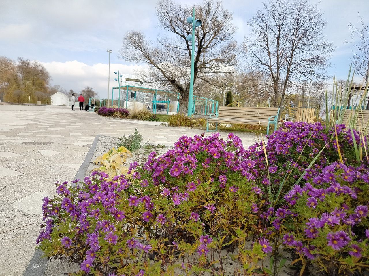 Сегодня, 15 ноября, нас ждёт облачная с прояснениями погода, без существенных осадков