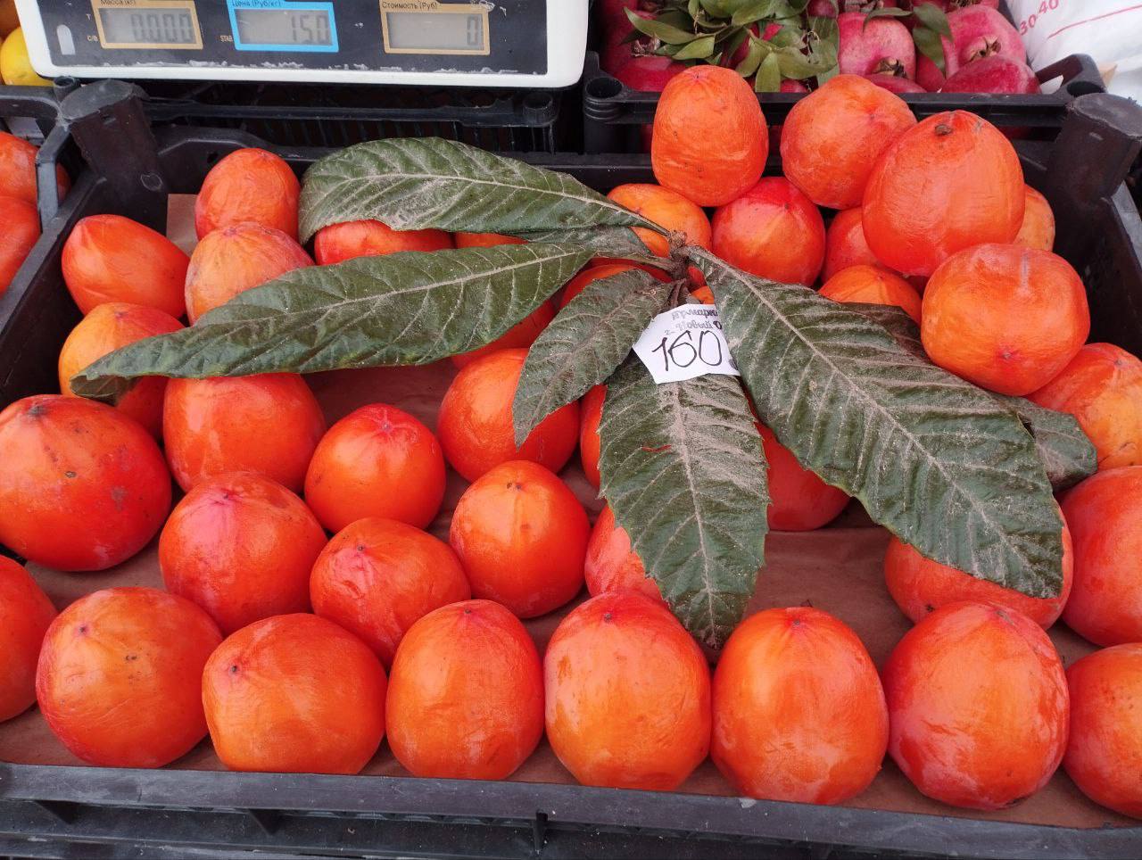 Андрей Миськов: В центре Нового Оскола состоялась традиционная продовольственная ярмарка, инициированная губернатором Белгородской области Вячеславом Гладковым Андрей Миськов: В центре Нового Оскола состоялась традиционная продовольственная ярмарка, инициированная губернатором Белгородской области Вячеславом Гладковым
