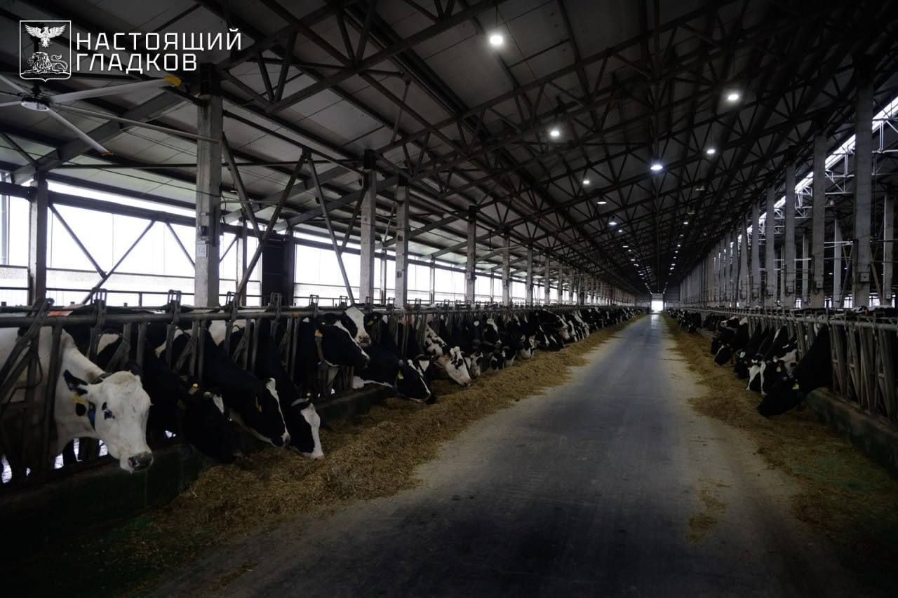 Владимир Жданов: Вместе с губернатором Белгородской области Вячеславом Владимировичем Гладковым и руководителями ведущих промышленных предприятий округа обсудили развитие системы среднего профессионального образования Владимир Жданов: Вместе с губернатором Белгородской области Вячеславом Владимировичем Гладковым и руководителями ведущих промышленных предприятий округа обсудили развитие системы среднего профессионального образования