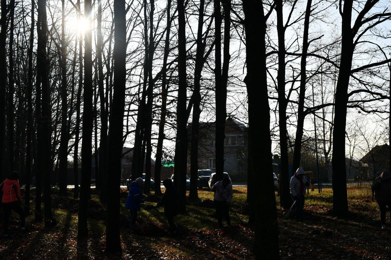 Галина Руденко: Осталось две недели до наступления календарной зимы, но пока погода позволяет, мы продолжаем наводить порядок в нашем районе Галина Руденко: Осталось две недели до наступления календарной зимы, но пока погода позволяет, мы продолжаем наводить порядок в нашем районе