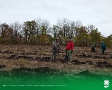 Всероссийская акция «Сохраним лес»: вместе сохраняем будущее наших лесов