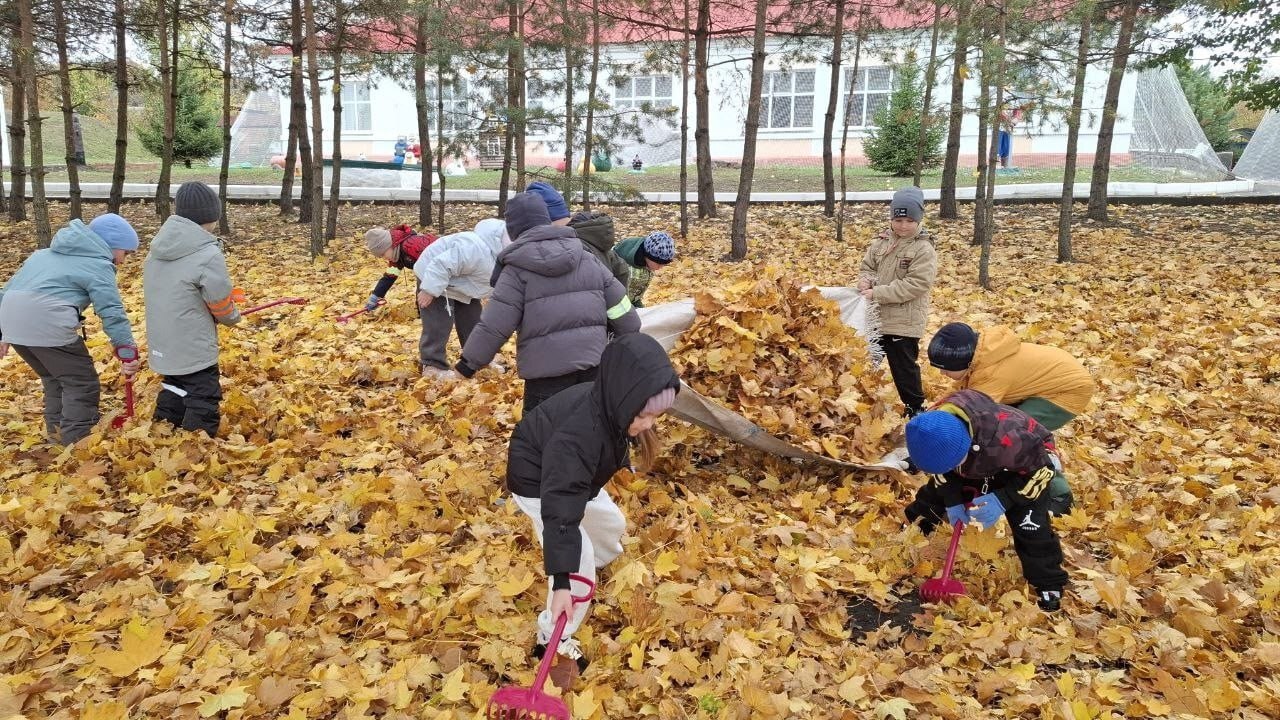 В Ракитянском районе завершилась ежегодная акция «Дни защиты от экологической опасности» В Ракитянском районе завершилась ежегодная акция «Дни защиты от экологической опасности»