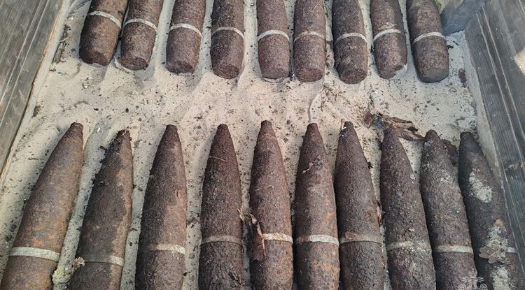 19 взрывоопасных предметов обнаружили в лесу под Белгородом