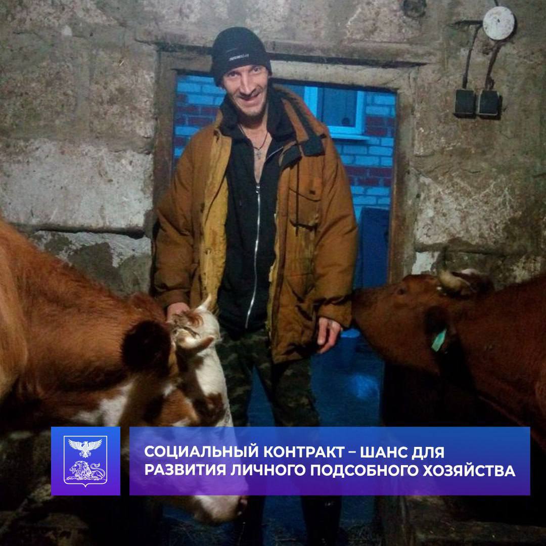 Программа социальных контрактов продолжает оказывать значимую поддержку жителям нашего округа, предоставляя возможности для развития личного подсобного хозяйства и улучшения материального положения семей