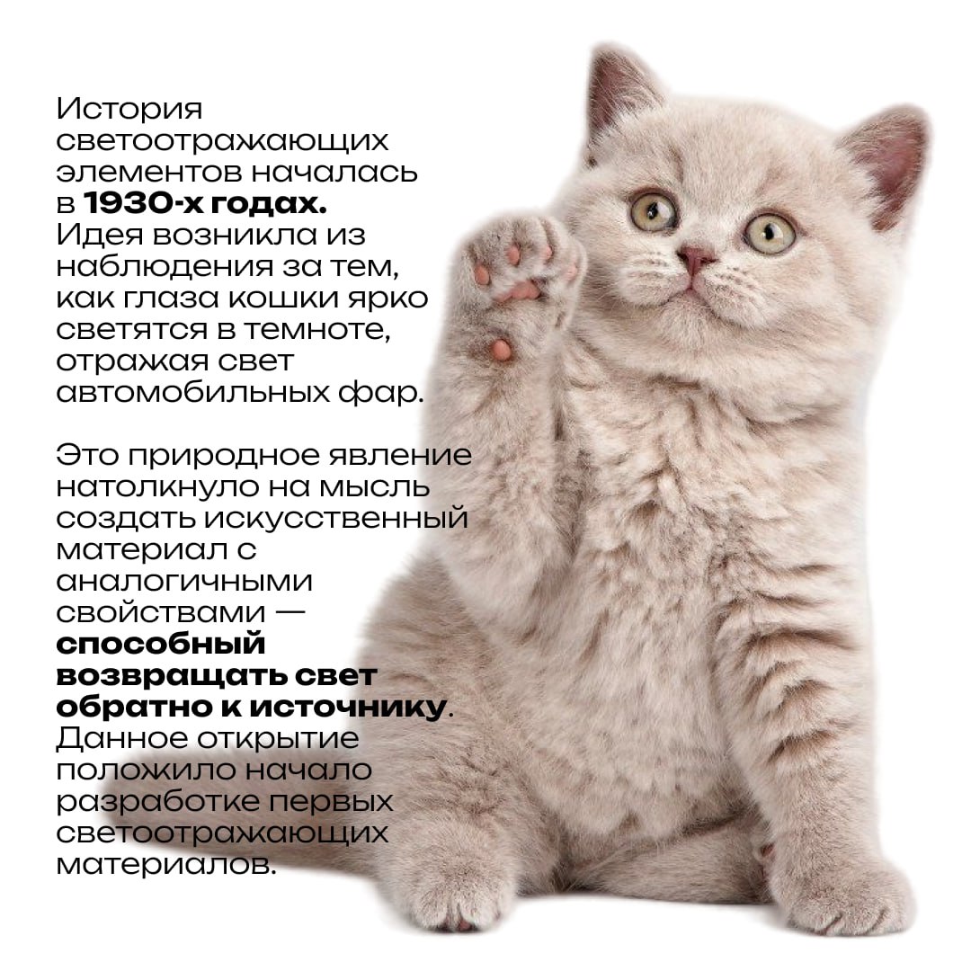 Безопасности много не бывает! Безопасности много не бывает!