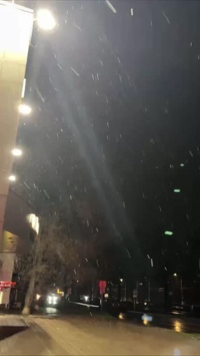 Вчера вечером в Белгороде выпал первый снег