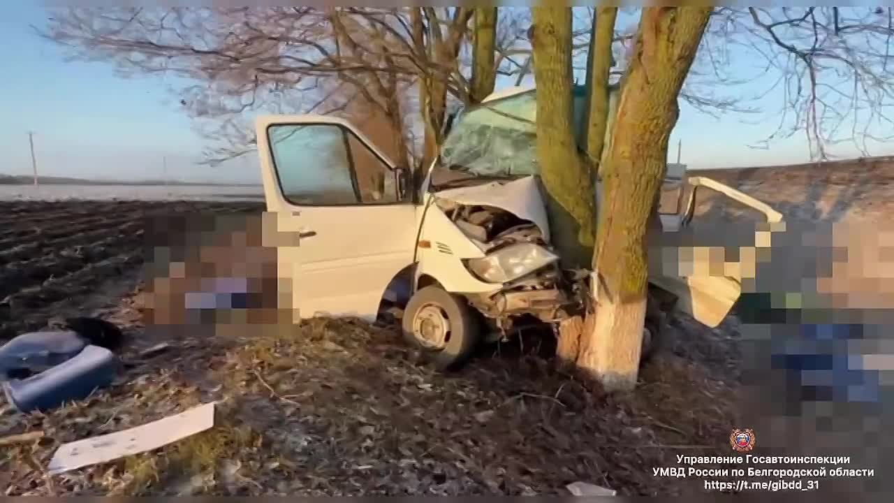 Два человека погибли в результате ДТП с автобусом в Белгородской области