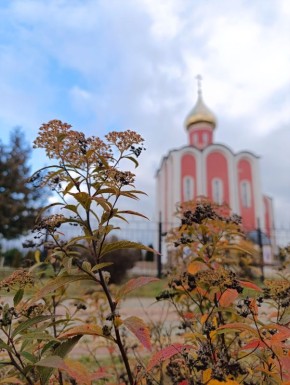 С началом новой рабочей недели, друзья!