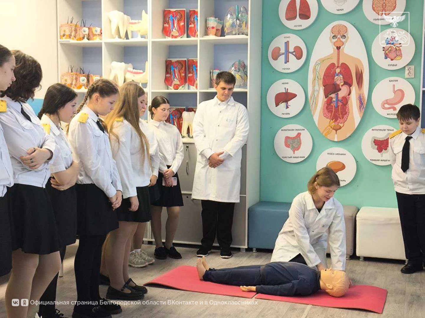 Ученики медкласса в Ракитном провели обучающее занятие для семиклассников