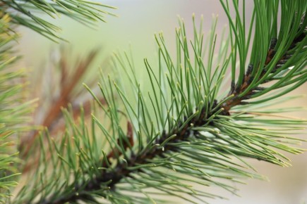 С добрым началом новой рабочей недели, шебекинцы!