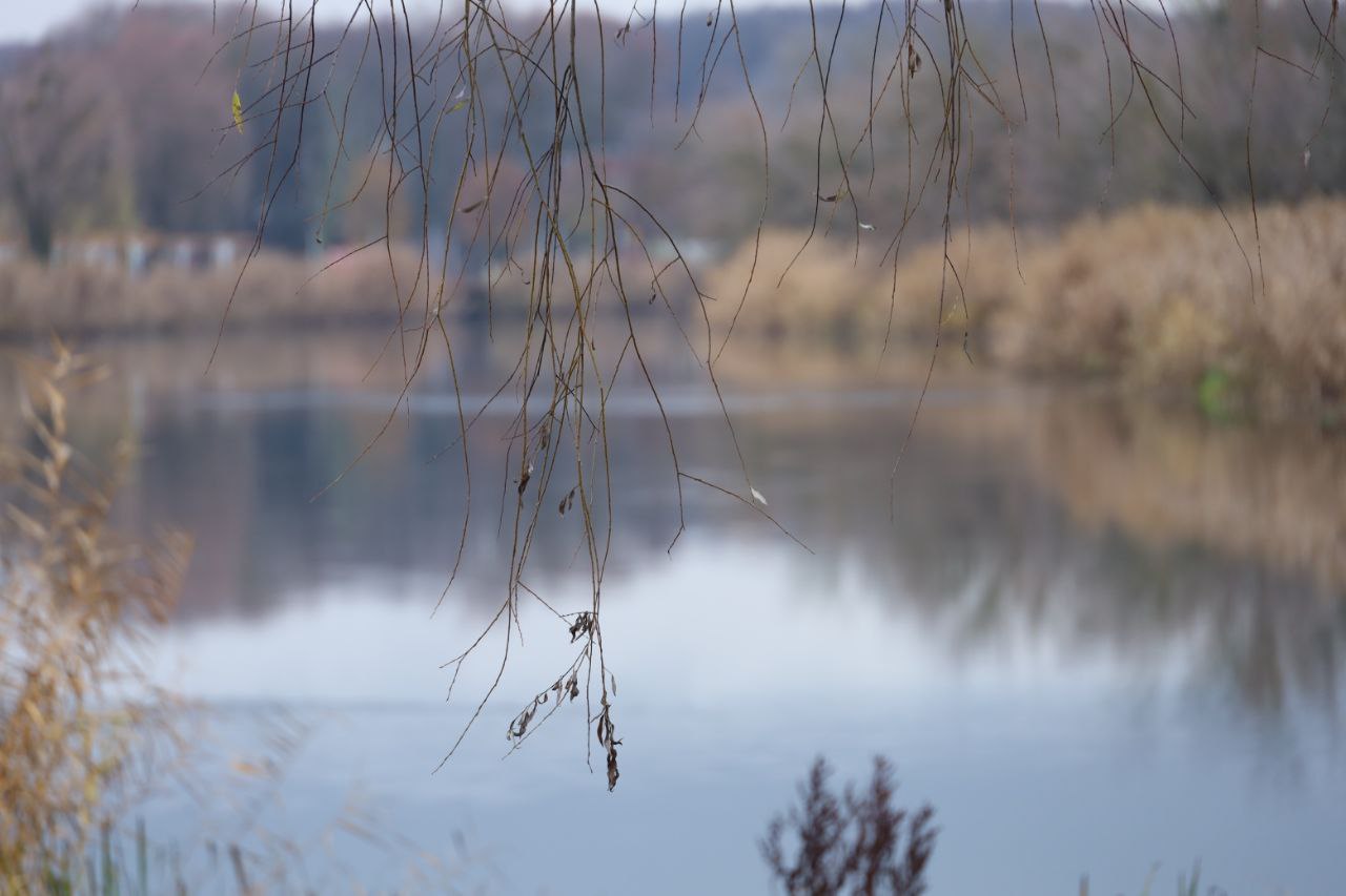 Андрей Гриднев: Уважаемые шебекинцы, делюсь новостями прошедшей недели, которые публиковались на официальных страницах администрации и учреждений Шебекинского муниципального округа: