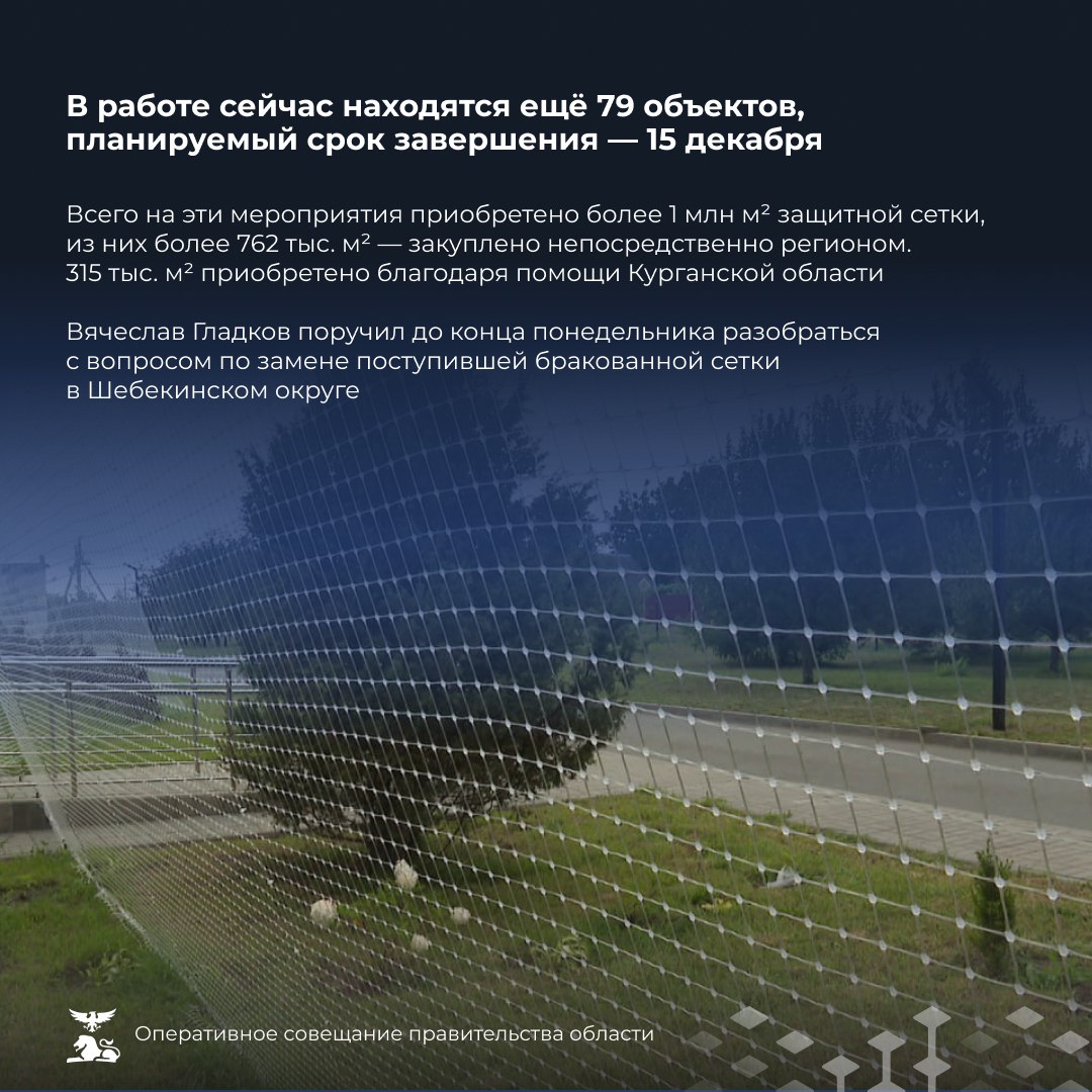 Белгородская область — в тройке лидеров по итогам ЕГЭ2025 Белгородская область — в тройке лидеров по итогам ЕГЭ2025
