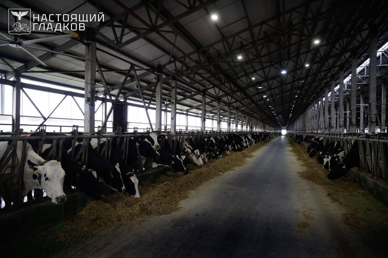 Развитие среднего профессионального образования Развитие среднего профессионального образования