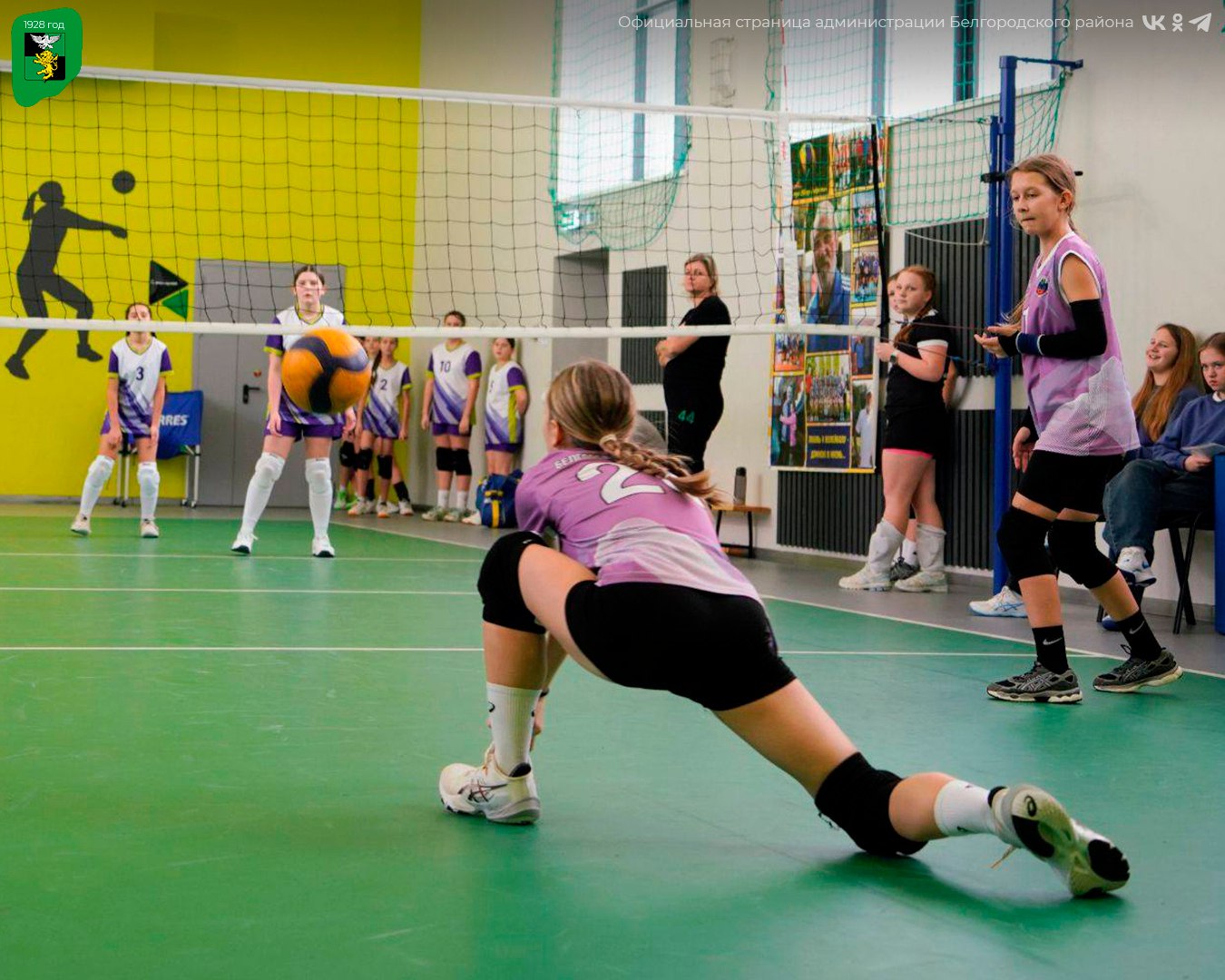 Наши спортсменки успешно выступили на первенстве по волейболу Наши спортсменки успешно выступили на первенстве по волейболу