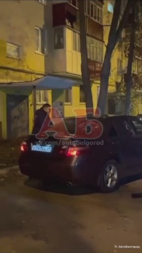 В Белгороде ссора в родительском чате переросла в драку с топором и битой