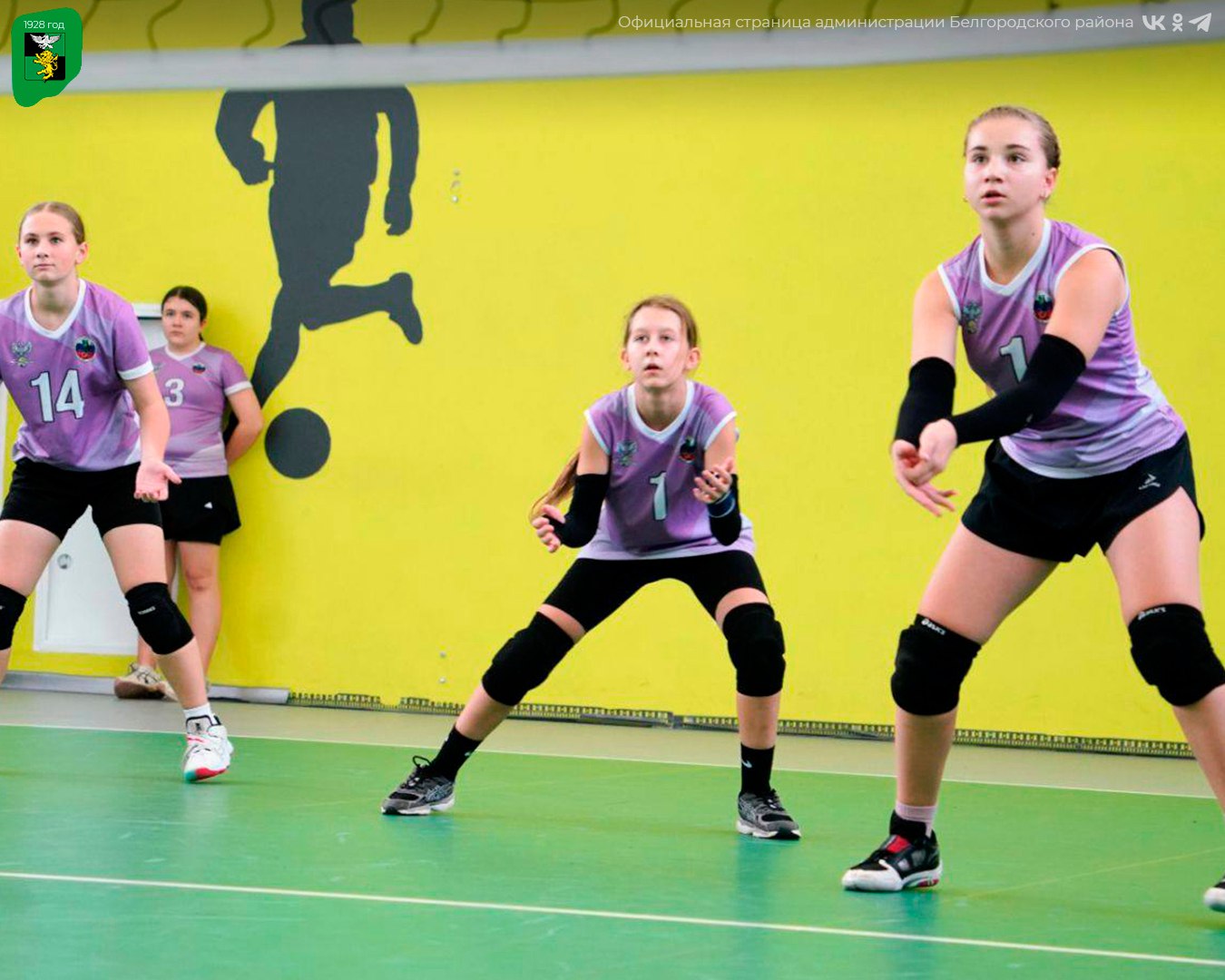 Наши спортсменки успешно выступили на первенстве по волейболу Наши спортсменки успешно выступили на первенстве по волейболу