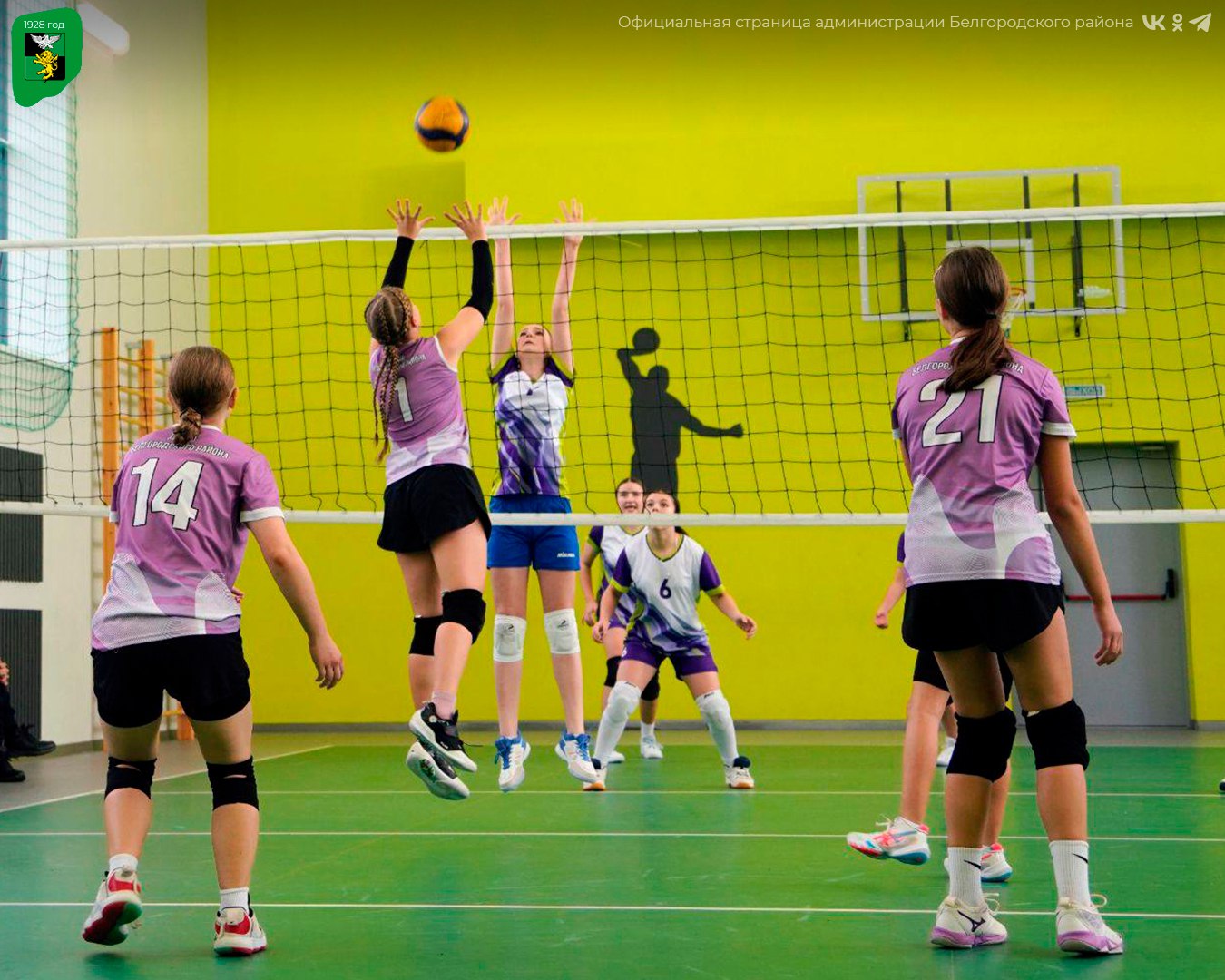 Наши спортсменки успешно выступили на первенстве по волейболу Наши спортсменки успешно выступили на первенстве по волейболу