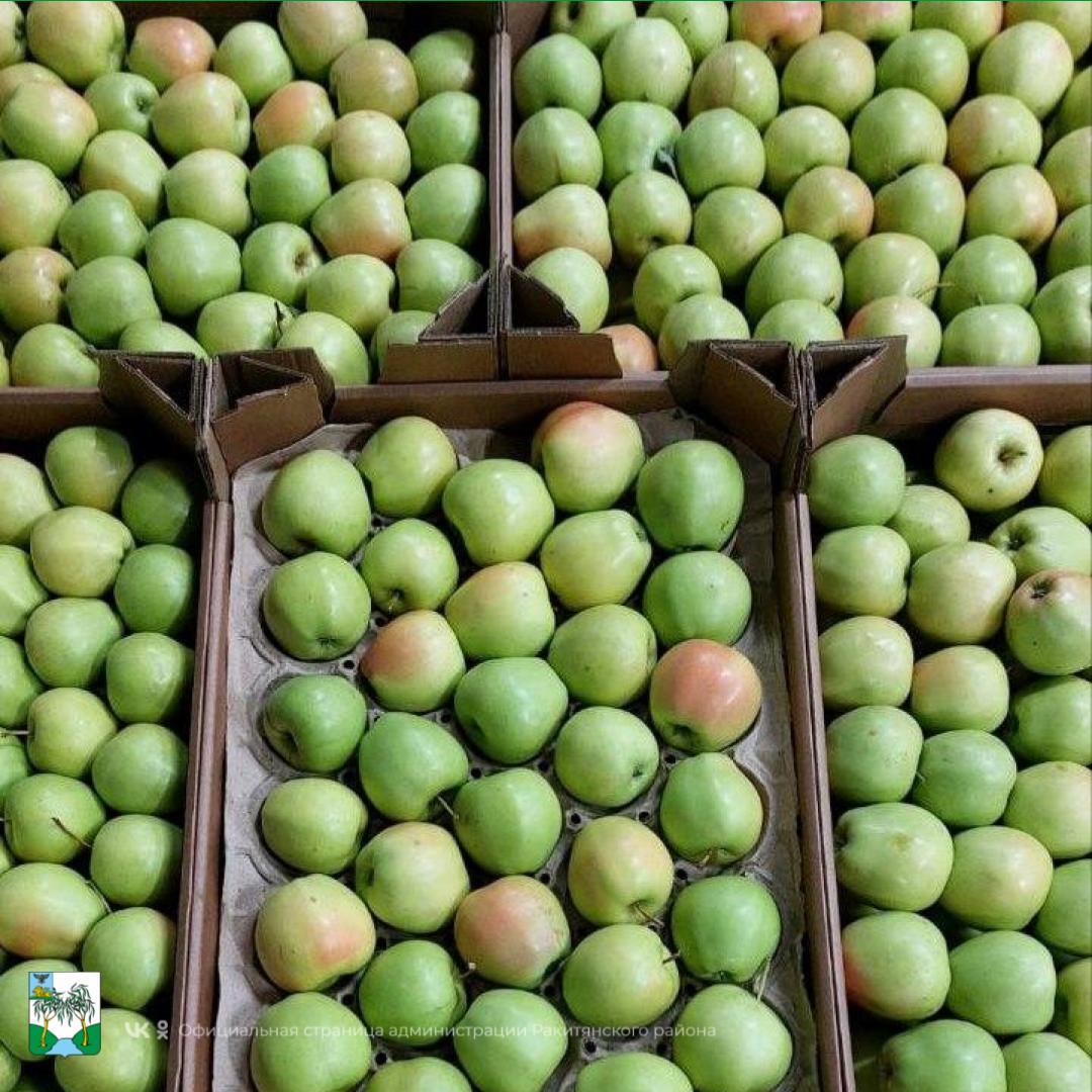 Отличные новости из мира сельского хозяйства! Отличные новости из мира сельского хозяйства!