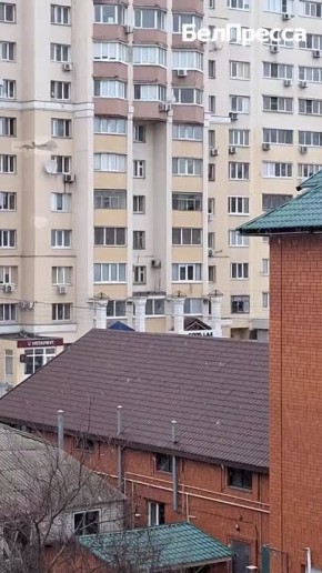    .        - @belpressabot   