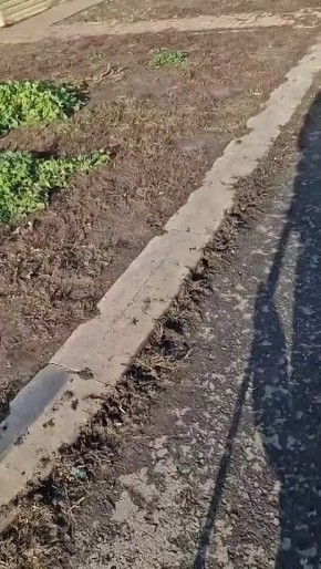 Приют «Добрый дом» в Белгородском районе атаковал дрон ВСУ